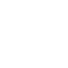 Experienced Technicians