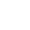 Vehicles Serviced Daily